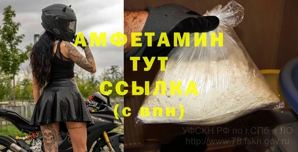гидра Новозыбков