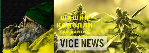 СК Волосово