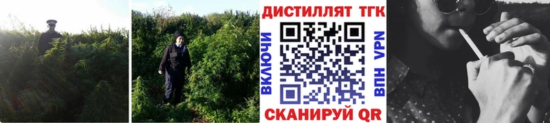 Дистиллят ТГК концентрат  darknet клад  Ханты-Мансийск  купить наркотики цена 